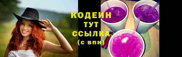 СК Дмитровск