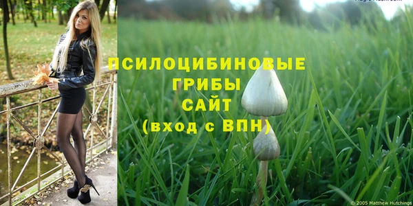 СК Дмитровск