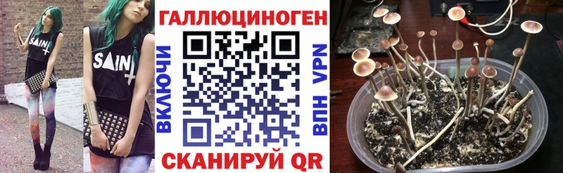 Галлюциногенные грибы мухоморы  где можно купить наркотик  Кудымкар 