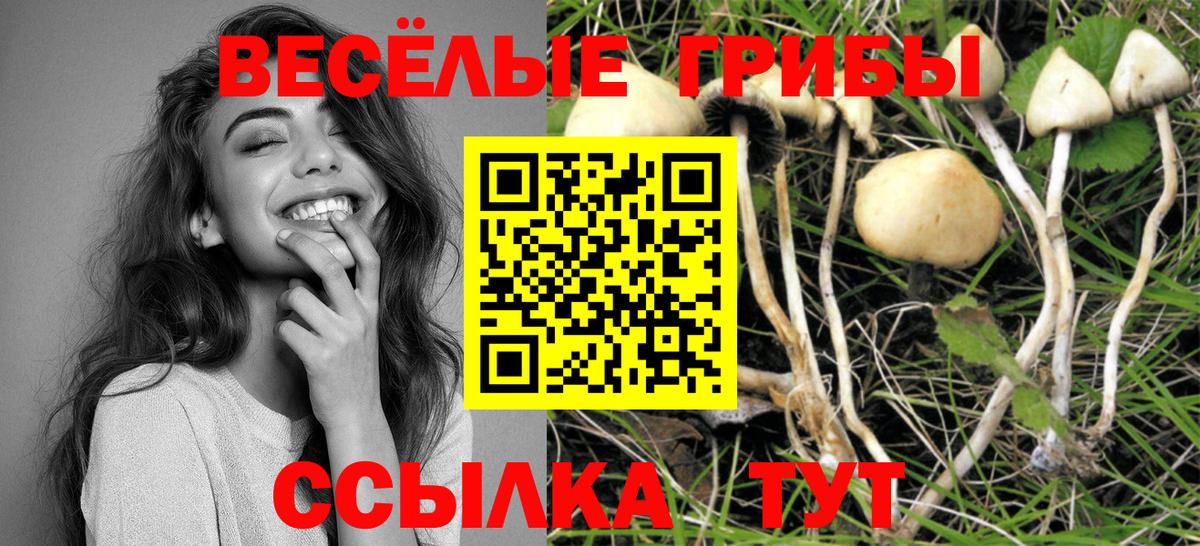 Кудымкар  Галлюциногенные грибы MAGIC MUSHROOMS  Вход с VPN 